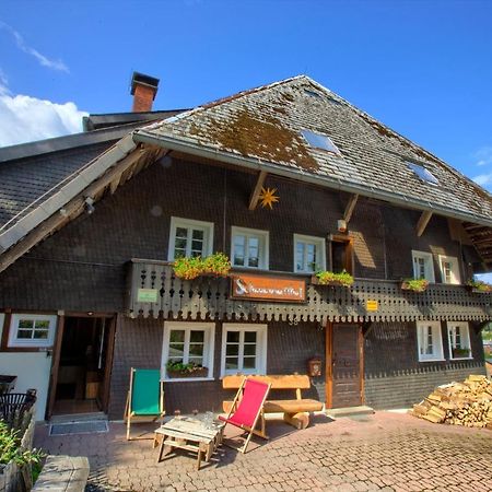Wohlfuehl-Ferienwohnung 80 Qm, 8 Personen, Aussicht & Heimkino Todtnau Exteriér fotografie