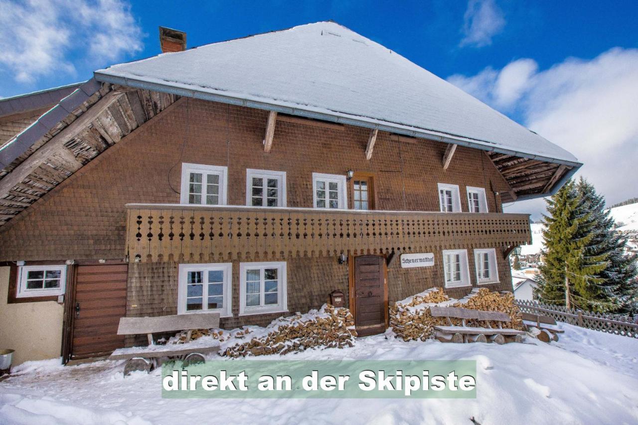 Wohlfuehl-Ferienwohnung 80 Qm, 8 Personen, Aussicht & Heimkino Todtnau Exteriér fotografie